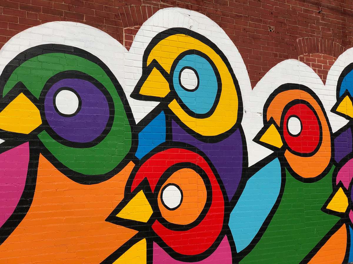 modern art multicolored bird graffiti wall art wall